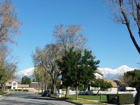 Upland Mt Baldy Snow Caps