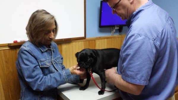 Maya getting an exam with Dr. Welty