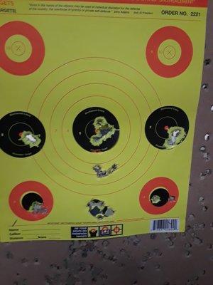 The Ruger PC-9 is dead-on at 5 yards!!