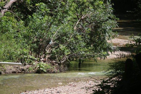 Cottonwood Creek in Plano's Greenbelt. Photo by Happy Tails Pet Pal. Located in 75074 zip code area.