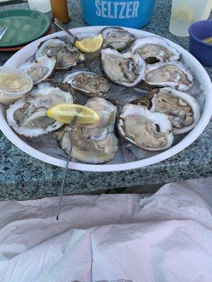 Dozen raw oysters