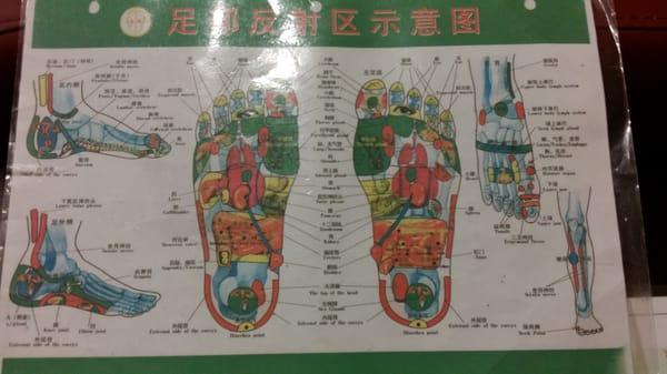 Reflexology chart