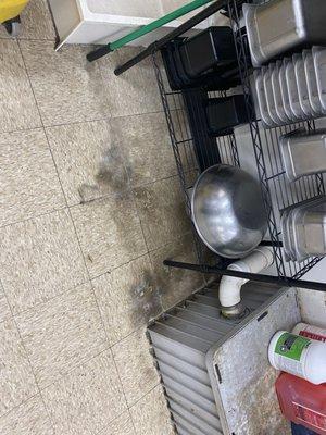 Underneath the clean dish rack, which is disgustingly placed right next to the dirty mop sink.