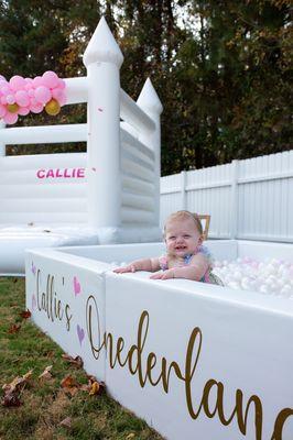 Customizable luxury 10x7 ft white ball pit rental with vinyl to match your party theme!