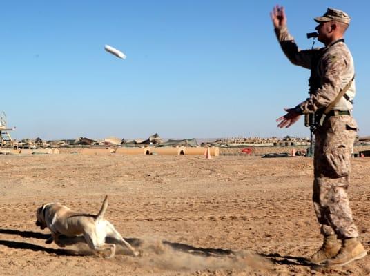 In action Helmand Province Afghanistan