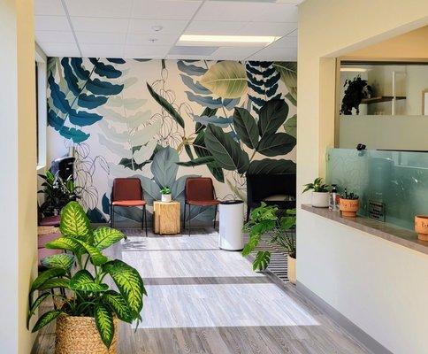 Our new reception area. Natural light, fresh ventilation and plants!