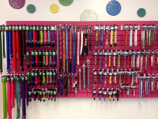 We carry an assortment of leashes and collars.