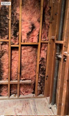 Black Mold left inside our wall, by Emergency Restoration Company. 2 of 2