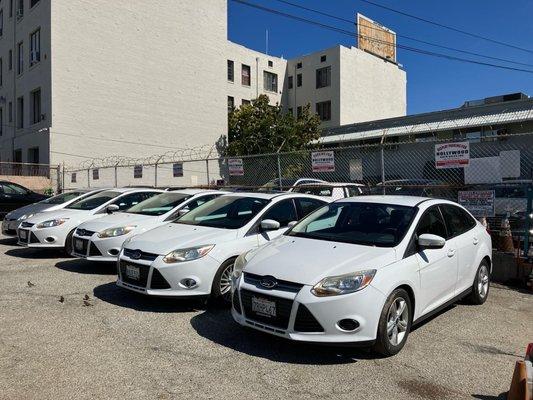 Hollywood Star Rent A Car