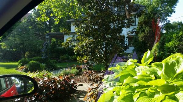 The beautiful gardens at the front of the office they actually calm you on the way up thr walk