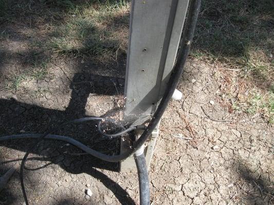 Spider webs taking over campsite.