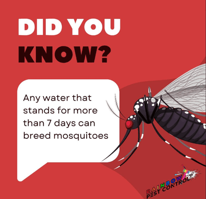 Mosquitos-
Not only annoying, but carry deadly diseases. We can remove mosquitos as well.