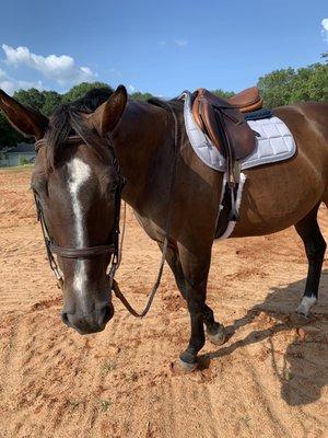 Riding ring is huge, even with the hurricanes and constant rain there is always plenty of nice, even footing to ride on! Taken August 2020.