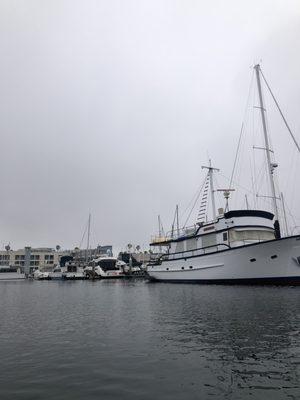 Out in the Harbor