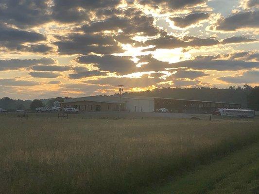 sunrise at the stockyard