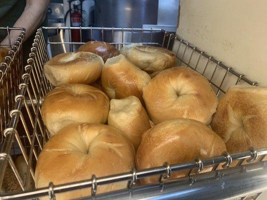 Great fresh bagels