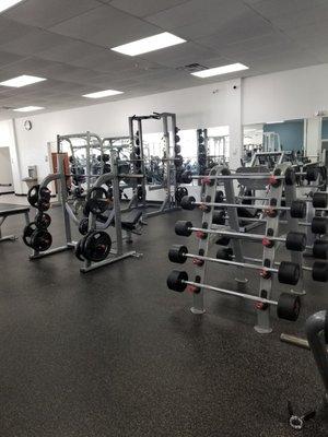 Benches and squat rack area