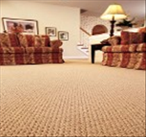 Curlys Carpet Warehouse