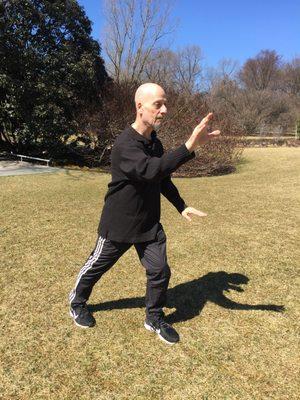 Northern Wu Tai Chi - "Brush Knee"