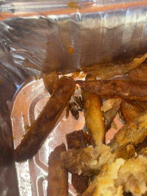 Here in my picture is just seasoned fries . . . Paired With a fried roach