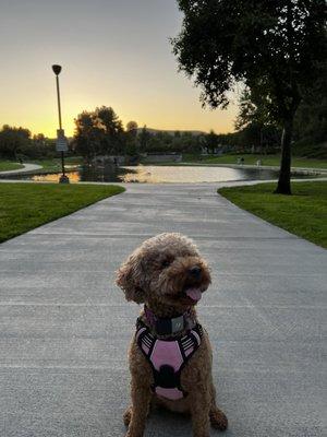 Great park to take your dog