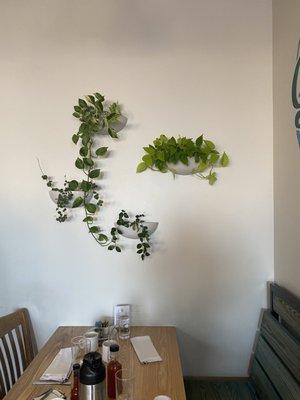 Greens Above Our Table