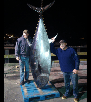 Capt Josh Belisle and his Bllue Fin Tuna.  Come catch a giant with Sea Fever Charters!