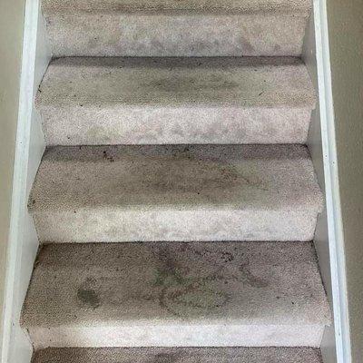 Dirty Stairs Cleaning