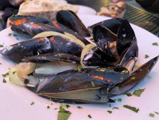 Mussels