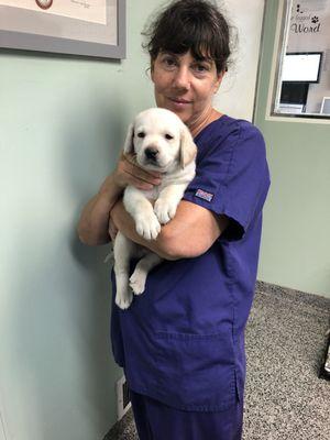 Nurse Marla sharing the love with 8 week old lab pup.