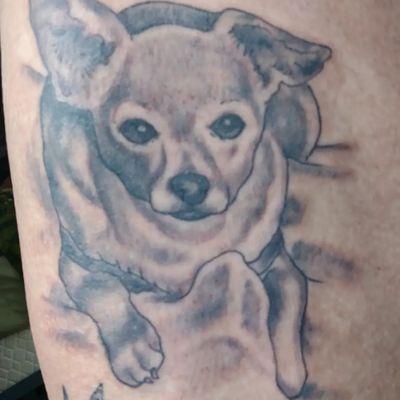 Tattoo of my dog Chester.