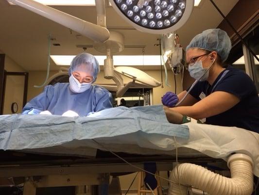 The Surgical Suite at VCA Oso Creek Animal Hospital and Emergency Center