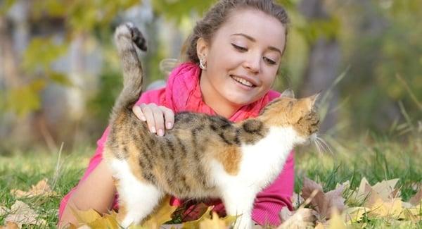 Pet Exams in Castle Rock, CO