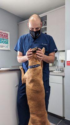 Airport Animal Hospital