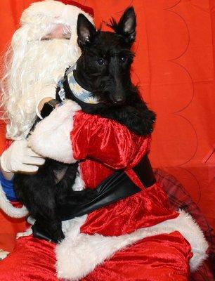 Daisy and Santa