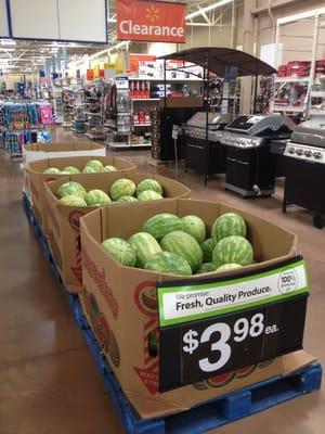 Watermelons in lawn and garden section....