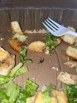 10. Grilled Chicken Caesar Salad