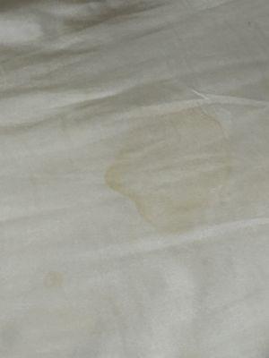 Disgusting stains on the bed