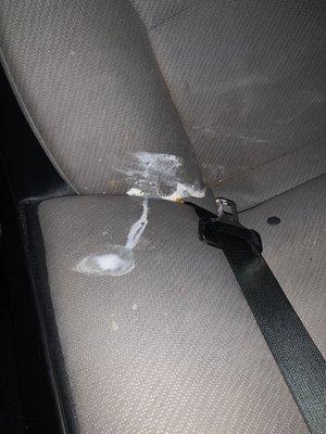 Back seat yogurt spill from 2 year old son the same day I went in for a car wash.