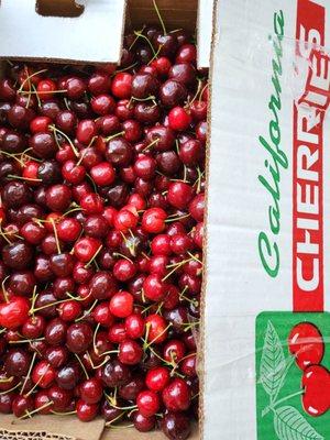 $25 for 18 lbs cherries . Does anyone like cherry? 5/31/23