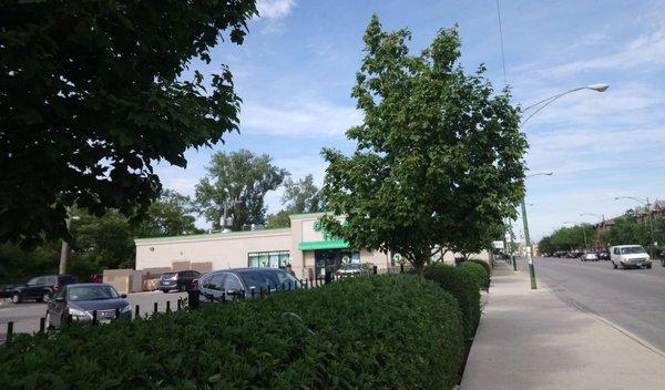 That's Dollar Tree - 3400 S. Archer in background (Photo taken from bus stop at Archer and Damen Avenues)