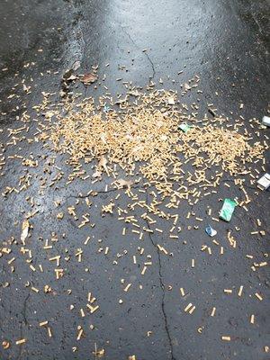 Cigarette butts that ameritex services spilled and left in the road.