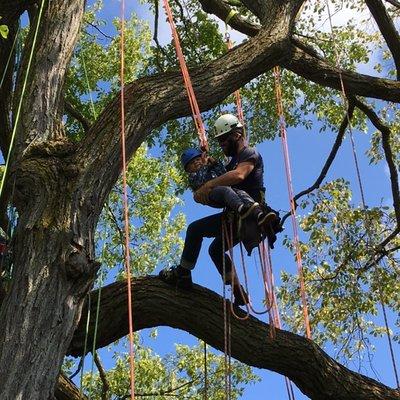 HTS offers free kids climbs through out the Milwaukee area during the Summers