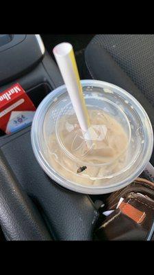 Iced coffee with a fly??