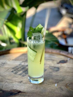 Polo Cup : Vodka or Gin, Elderflower, Cucumber, Basil, Mint, Lemon, Orange Bitters, and Soda