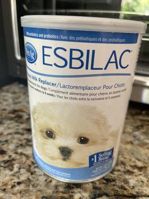 Only Feed warmed Esbilac puppy milk replacer to abandoned baby squirrels.