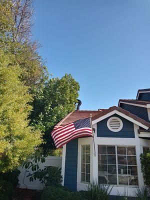 Cutting trees off roof