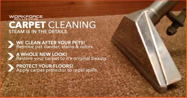 Carpet Cleaning