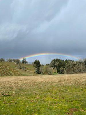 Unreal rainbow which we stopped to take photos with