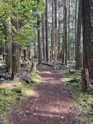 Federation Forest State Park